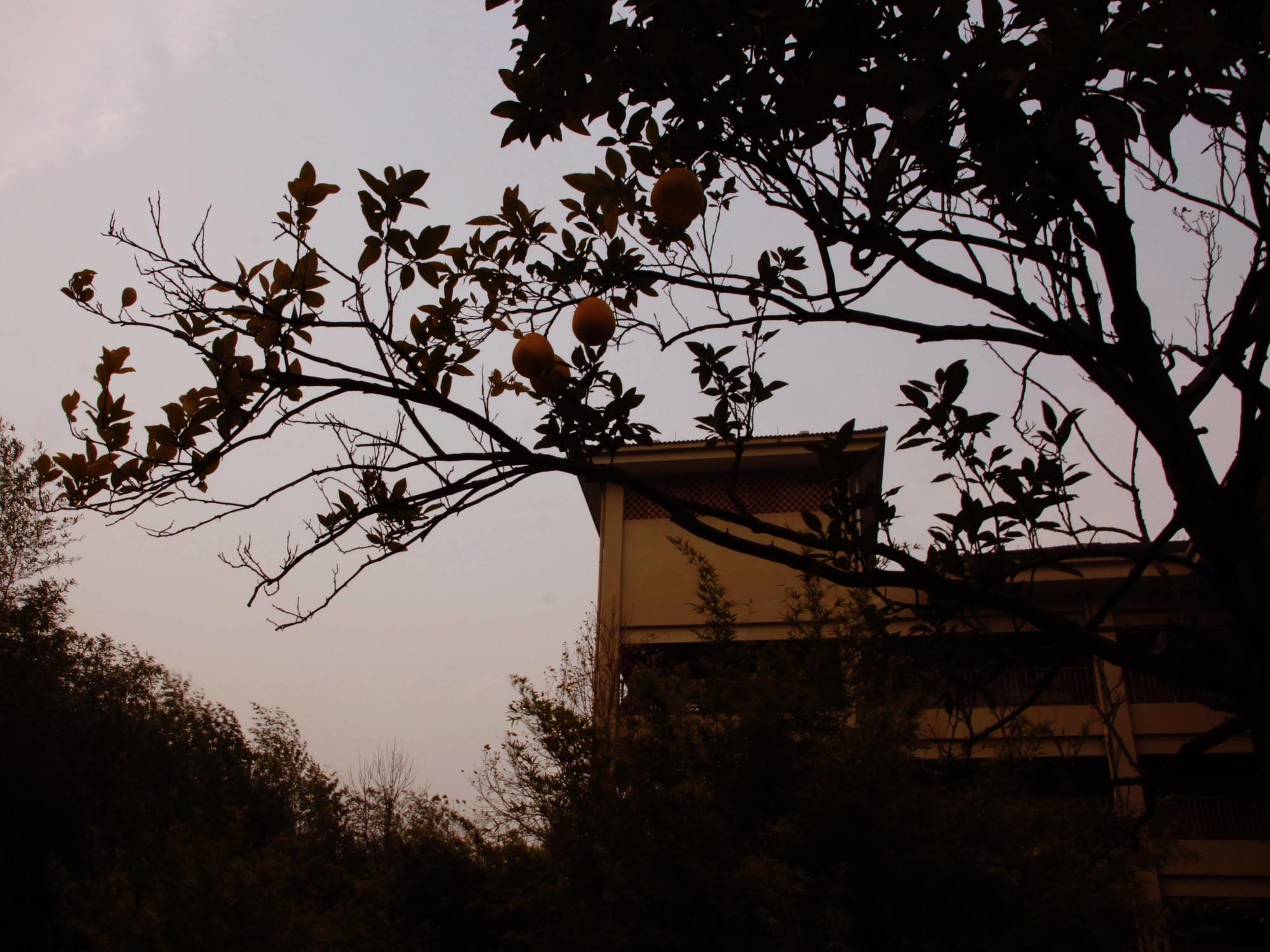 Hna Resort Yunqi Hangzhou Esterno foto